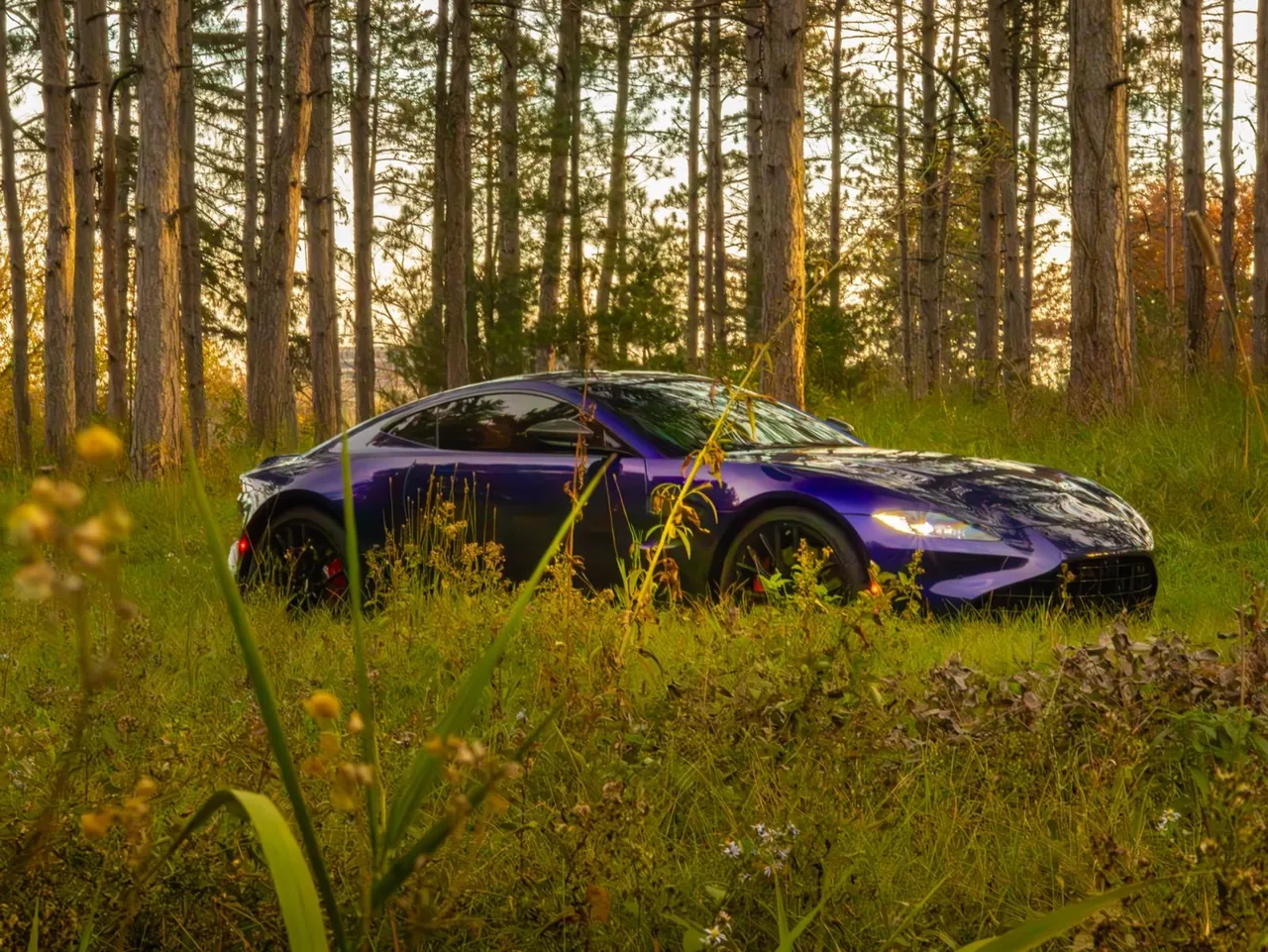 A purple sports car in tall grass at the edge of a forest