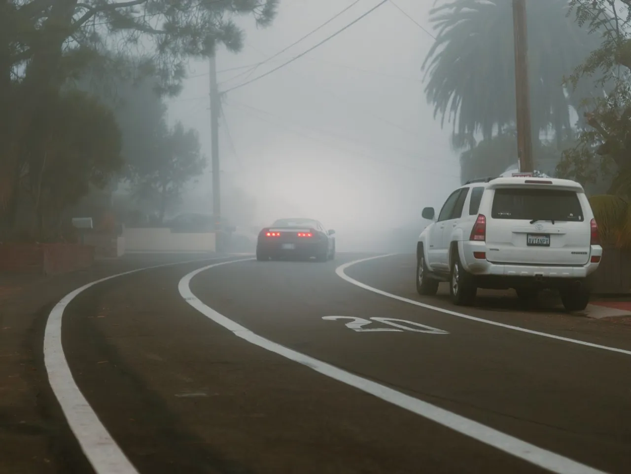 Tail lights disappearing down a foggy road